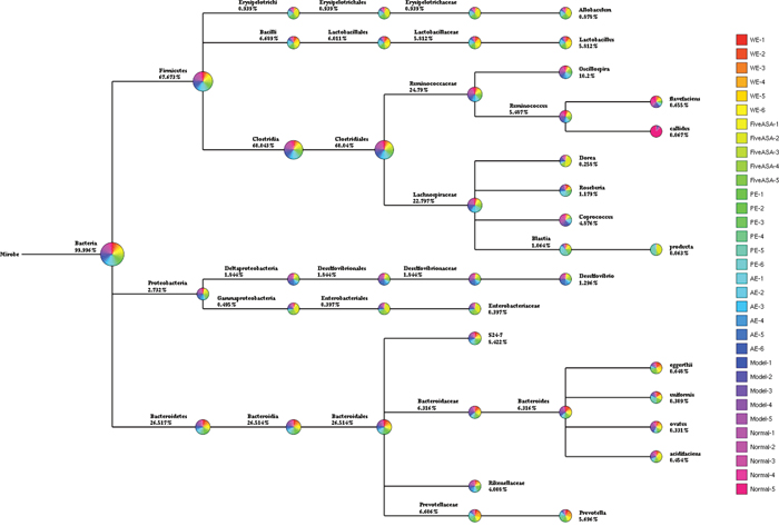 Tree species classification of the differently treated samples from IBD rats induced by TNBS enema.