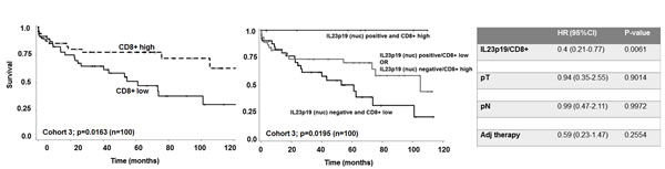 A) Kaplan-Meier survival curve of low and high CD8+ T-cell counts in patients not receiving a preoperative therapy (n=100).