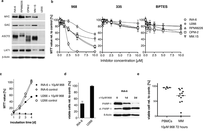 The effect of small molecule inhibitors on HMCLs and primary patient material.