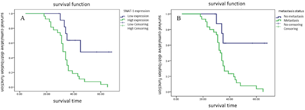Survival cumulative distribution function of SNAT1 in patients with osteosarcoma.