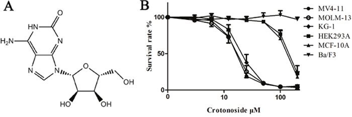 Effects of crotonoside on the viability of AML cells and normal cell lines.