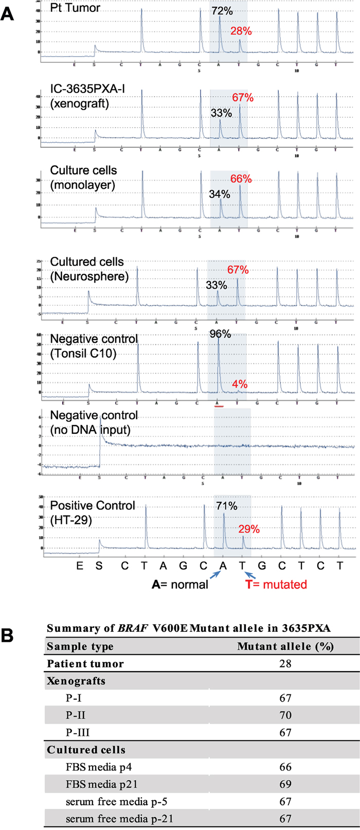 Quantitative analysis of BRAF V600E mutation allele frequency using pyrosequencing.