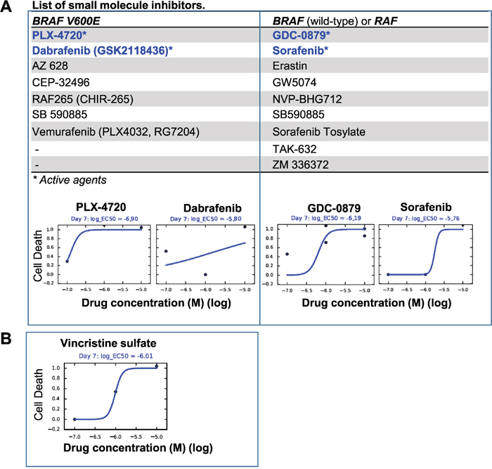 In vitro drug testing.