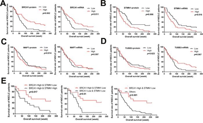 Kaplan&#x2013;Meier curves with univariate analyses (log rank) of 70 NSCLC patients after surgical resection revealed 5-year survival.