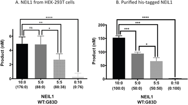 G83D is dominant to WT NEIL1 in vitro.