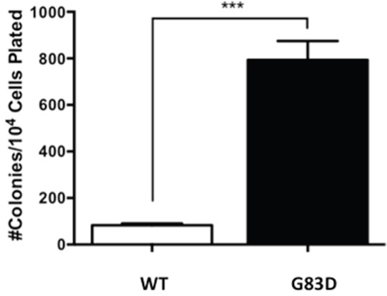 G83D expression induces anchorage-independent growth.