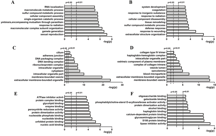 Gene ontology of differentially expressed proteins identified at days 8 and 60 after scrotal hyperthermia.