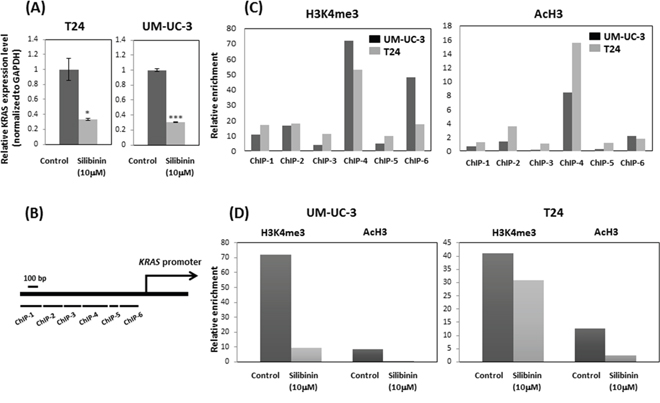 Silibinin suppressed histone H3 lysine 4 (H3K4) trimethylation (H3K4me3) and H3 acetylation (AcH3) and down-regulated KRAS expression.