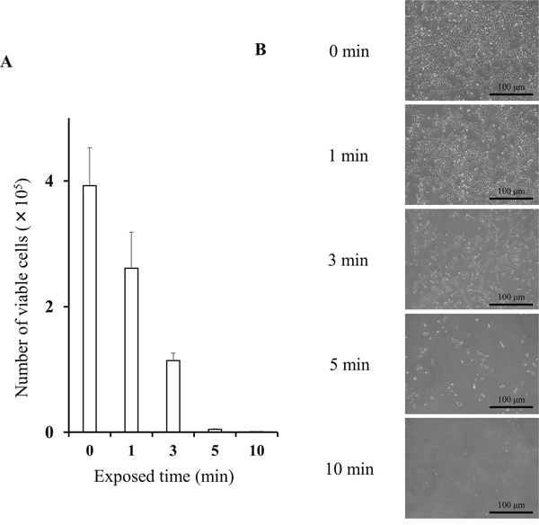 Cytocidal effects of distilled water on HGC-27 cells.