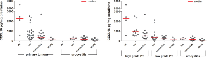 Semi-quantitative analysis of CXCL16 immunoreactivity in primary tumours (high and low grade) and urocystitis tissues in relation to the CXCL16 concentration found in the urine supernatant of these patients.