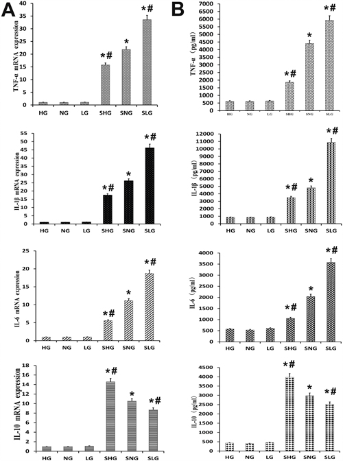Effect of Se on inflammation in mammary tissues from S. aureus infected mastitis model mice.