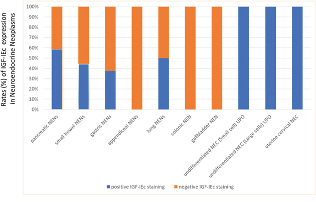 Expression (%) of IGF-IEc in the examined neuroendocrine neoplasms (NENs).