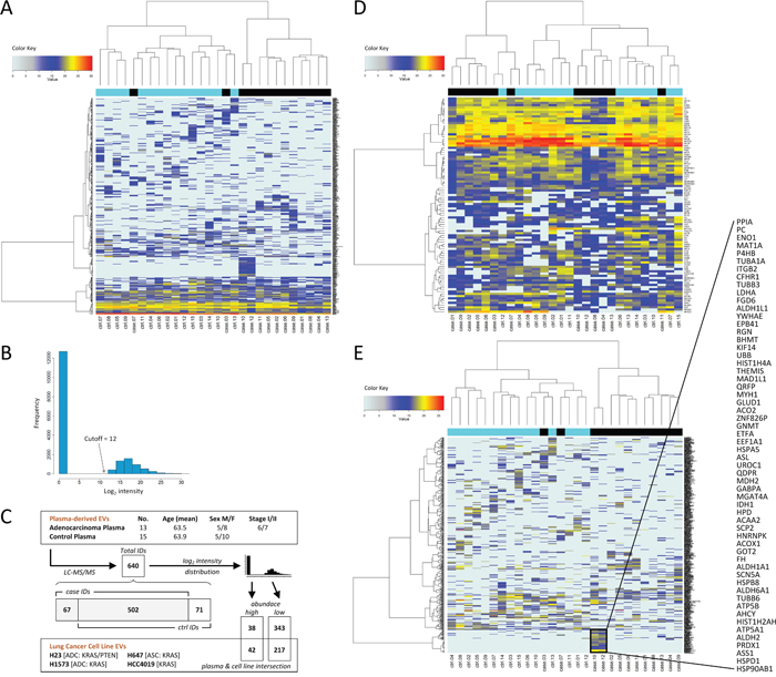 Hierarchical clustering analyses of plasma-derived EV proteins.