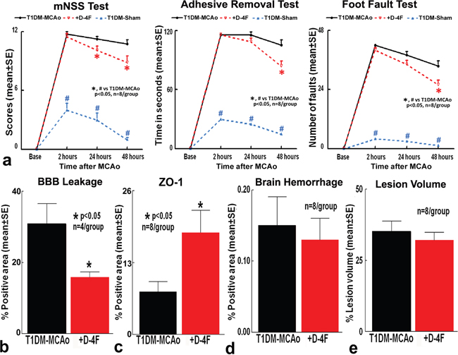 Stroke treatment using D-4F in T1DM rats does not decrease lesion volume and brain hemorrhagic transformation, but significantly decreases BBB leakage and improves functional outcome.