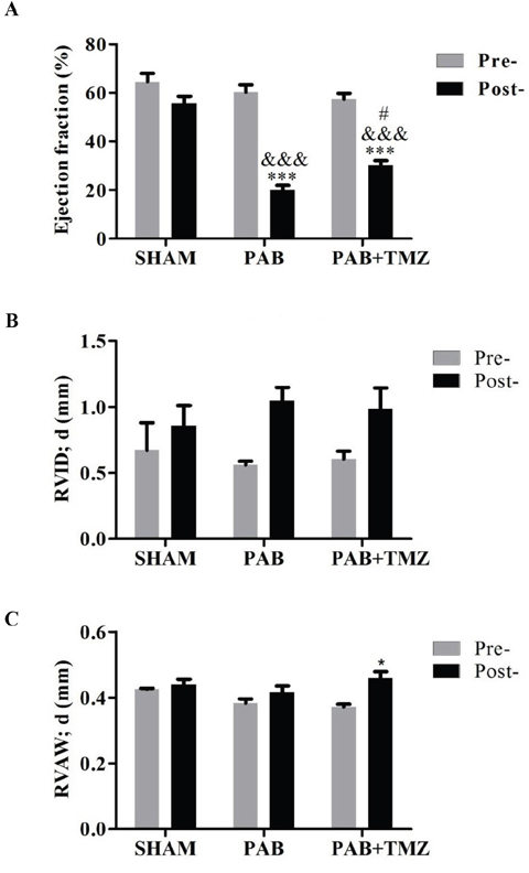 Comparison of right ventricular ejection fraction (EF), RVAWd, and RVIDd among the sham, PAB, and PAB+TMZ groups 24 hours after operation in rats.