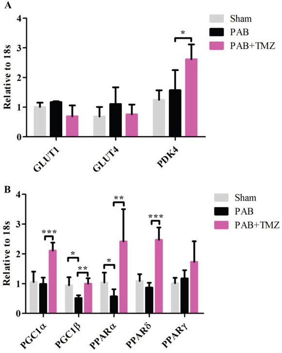 Metabolic gene profile changed after PAB and PAB+TMZ treatment.