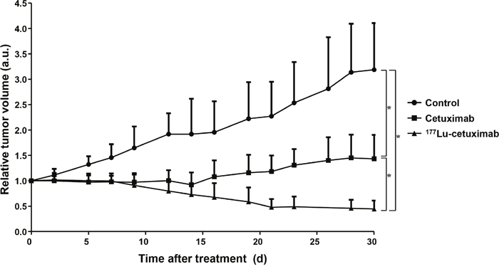 Radioimmunotherpeutic efficacy of 177Lu-PCTA-cetuximab in SNU-1066 HNSCC xenograft model.