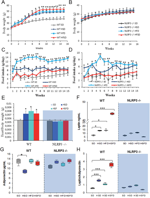 Nlrp3 signaling suppression prevents obesity induced effects of the HSD, HFD and HSFD diets.