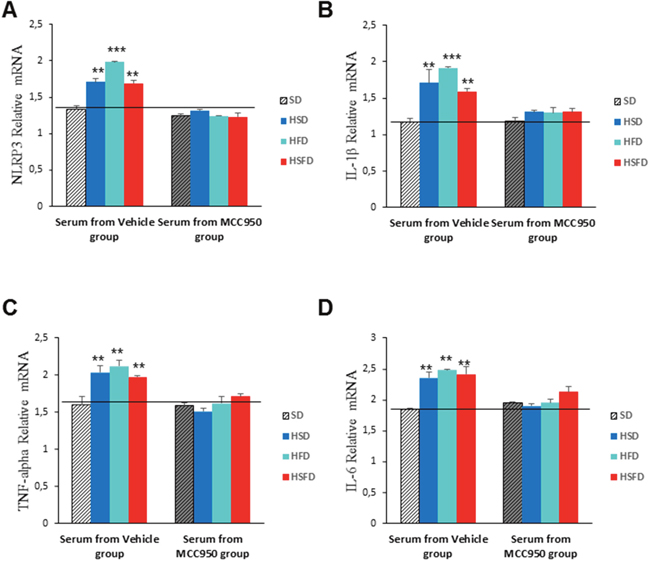 Inflammasome inhibition in THP-1 monocytes cultivated with sera from MCC950-treated WT mice fed with HSD, HFD and HSFD diets.