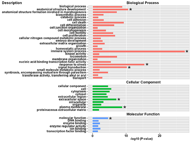 Gene Ontology (GO) enrichment analysis of differential expressed genes.