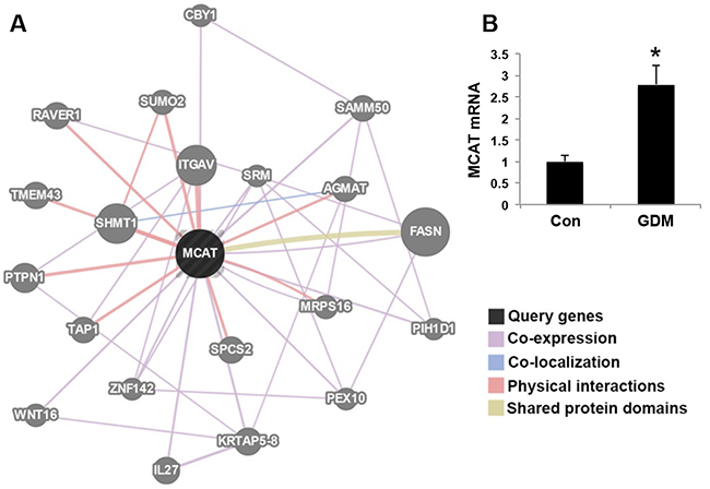 MCAT network by RNA sequencing.