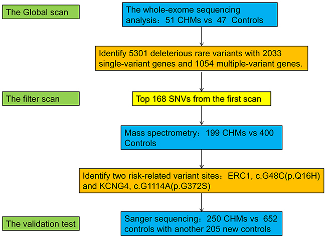 Summary of the study design and results.