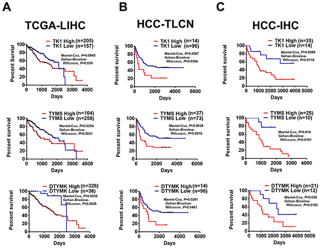 Higher expression of TK1, TYMS and DTYMK is associated with poor patient survival of HCC patients.