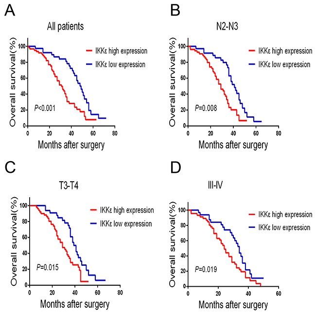 IKK&#x03B5; overexpression is associated with poor prognosis in GC patients.