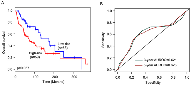 Performance validation of the six-lncRNA signature in the validation cohort.