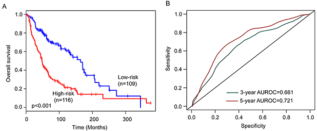 Performance validation of the six-lncRNA signature in the entire TCGA cohort.