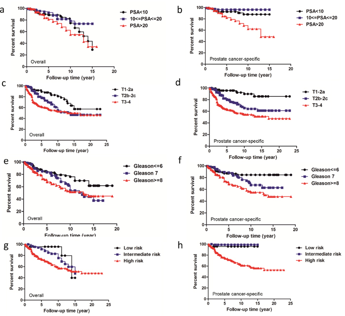 Overall survival and prostate cancer specific-survival according to each NCCN classification related factor PSA, T stage and Gleason score as well as NCCN risk categories.