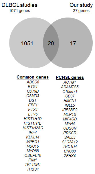Overlaps in genes discovered in DLBCL studies and our 37 genes of interest.