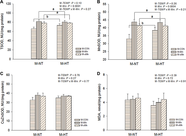 Effects of maternal environmental temperature and dietary Mn on antioxidant ability in the embryonic heart.