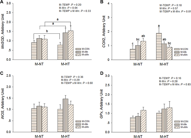 Effects of maternal environmental temperature and dietary Mn on redox-related gene mRNA expressions in the embryonic heart.