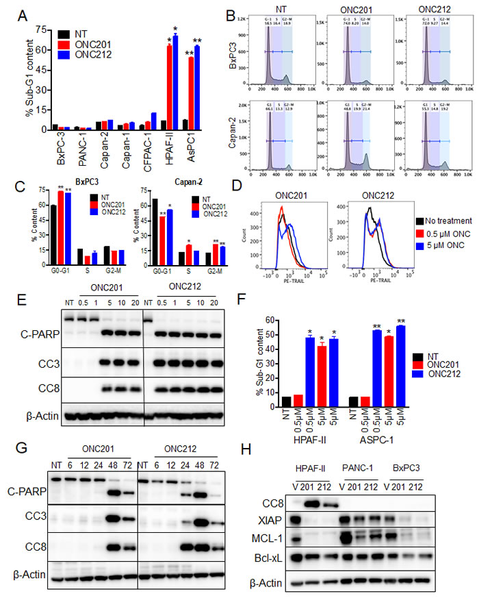 ONC212 induces apoptosis at lower doses and at earlier time point than ONC201 in sensitive cell lines.