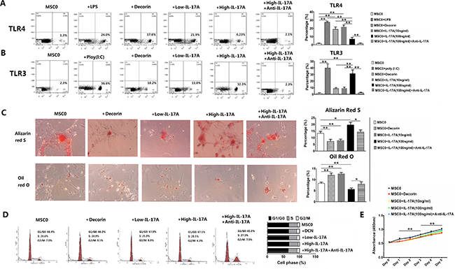 IL-17A mediated MSC1 and MSC2 polarizations in concentration-dependent way.