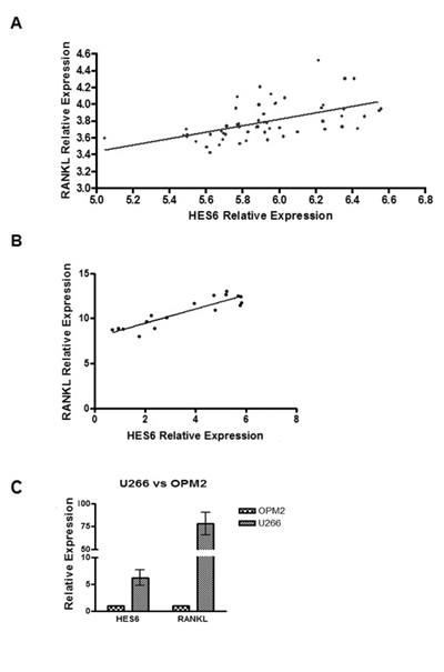 Notch pathway activation is correlated with RANKL expression levels in MM patients.