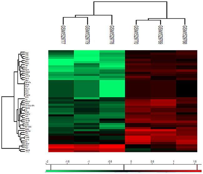 Heatmap visualization of the differently expressed genes identified by Significant Analysis of Microarray (SAM) in metastatic tumor cells (GSM1529777, GSM1529778, GSM1529779) versus 4T1 parental cells (GSM1529768, GSM1529769, GSM1529770).