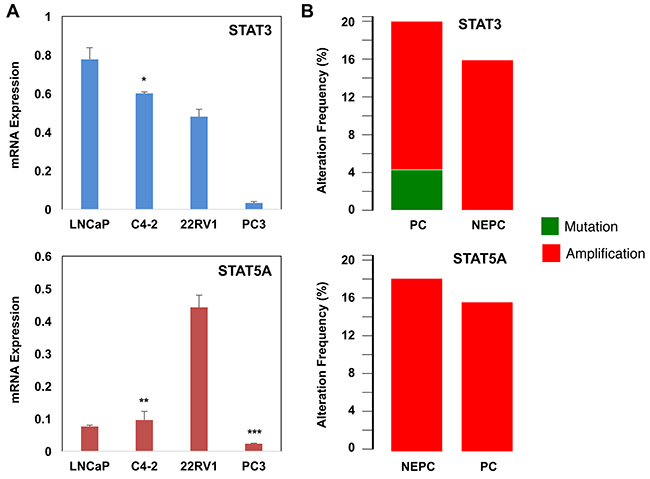 Alterations of STAT3/5A mRNA and genes in PC.