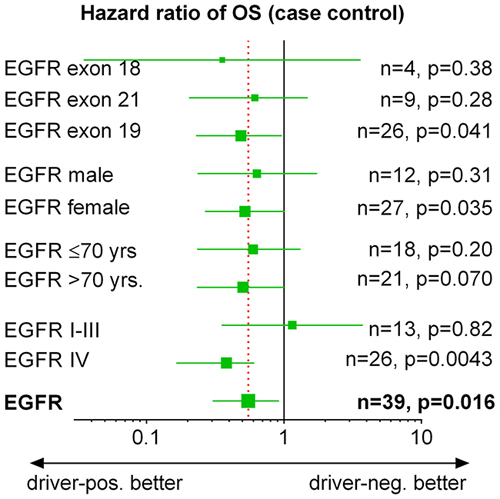 EGFR-positive patients: subgroup analysis of overall survival.