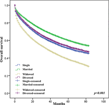 Effect of marital status on survival of CRC patients.