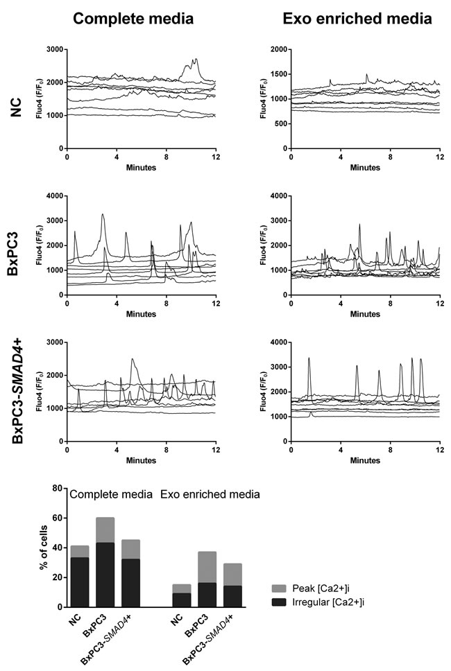 Intracellular calcium fluxes ([Ca