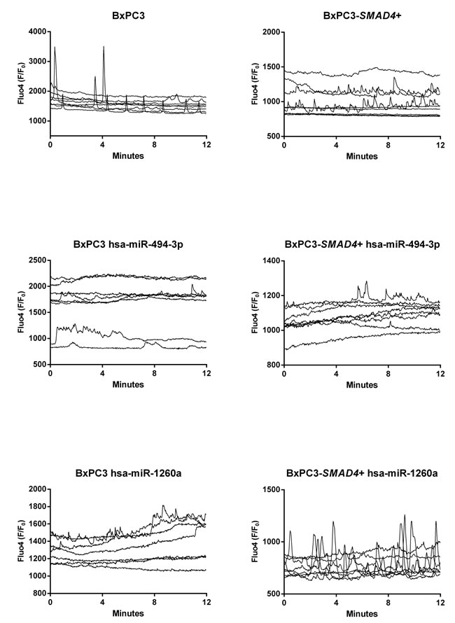 hsa-miR-494-3p and miR-1260a transfection alters intracellular calcium fluxes ([Ca