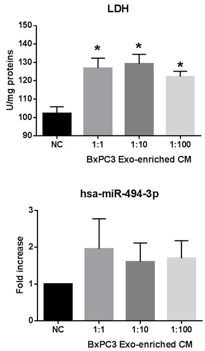 PDAC-derived Exo transfer LDH enzyme activity and hsa-miR-494-3p into PBMCs.