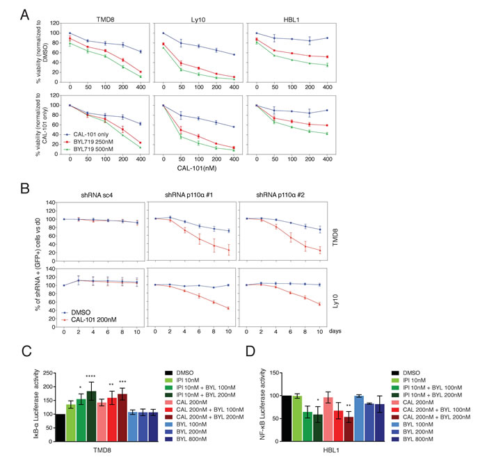 Combined PI3K&#x3b1; and PI3K&#x3b4; inhibition cooperates to decrease viability and NF-&#x3ba;B activity in ABC DLBCL.