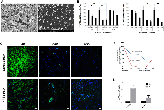 Figure 3: