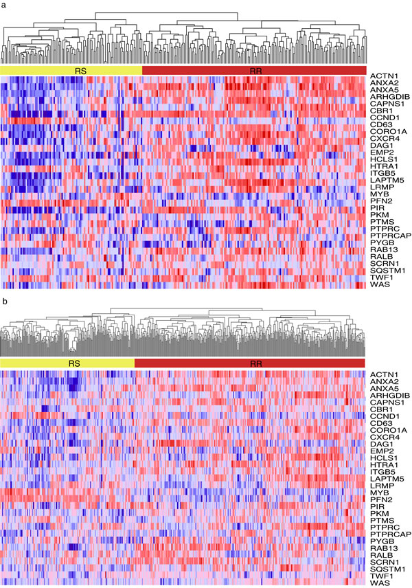 Hierarchical clustering analysis on the samples from two cohorts.
