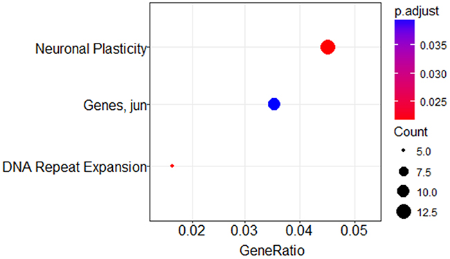 MeSH enrichment analysis using miR-20a and miR-30d predicted targets.