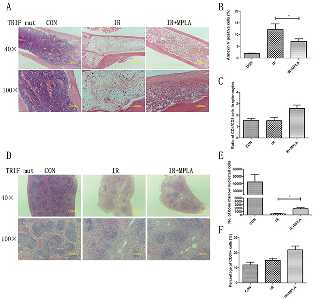 MPLA showed partial protective effects in TRIF mutant mice.