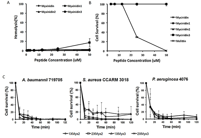 Antibiotic killing kinetics of myxinidin2 and myxinidin3.